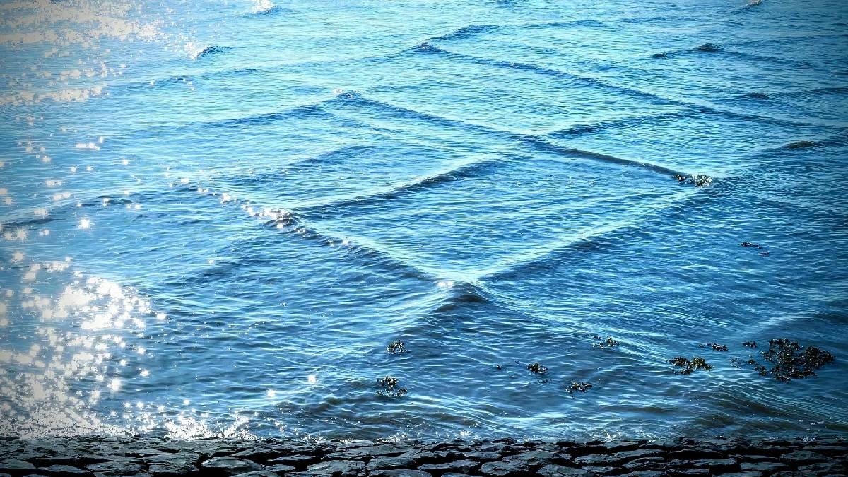 Su yüzeyi birden karelere bölündü: Gördüğünüz gibi kaçın