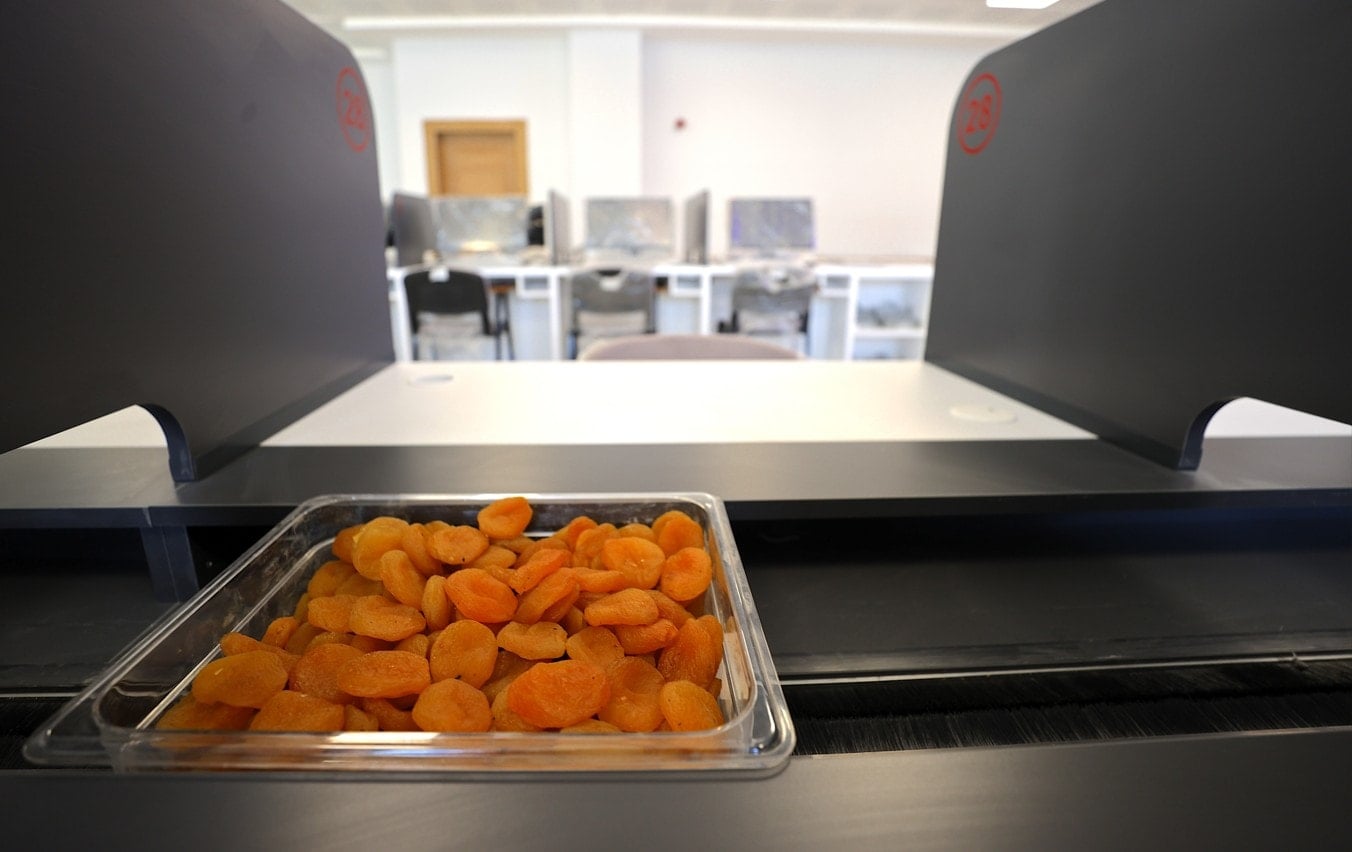 AB tescilli Malatya kayısısında 'mezat' dönemi