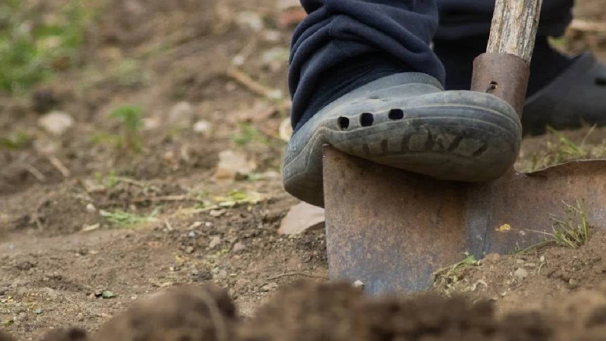 Bahçesini temizleyen kadın  boy boy 17 bebek buldu: Korkunç gerçek toprak altında çıktı