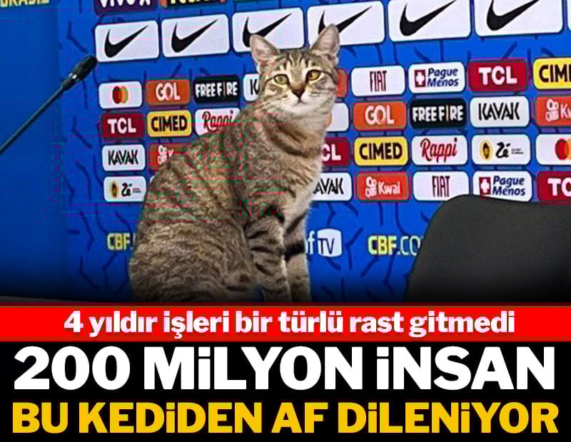200 milyon insan bir kediden af dileniyor: 4 yıldır belleri doğrulmadı