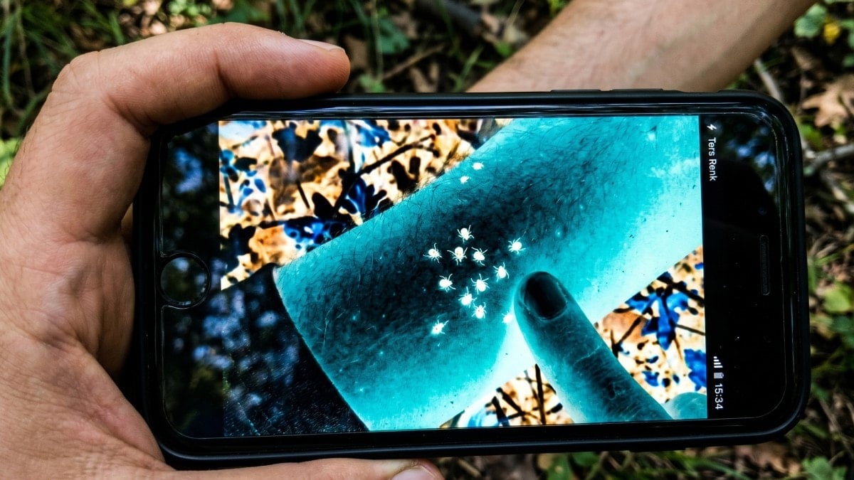 Keneleri fark etmek artık çok kolay: Telefonunuzda bu modu açın