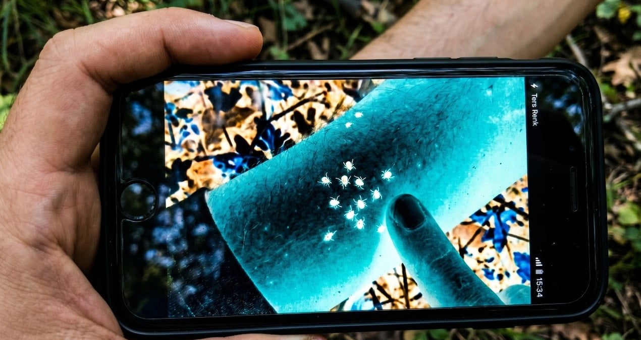 Keneleri fark etmek artık çok kolay: Telefonunuzda bu modu açın