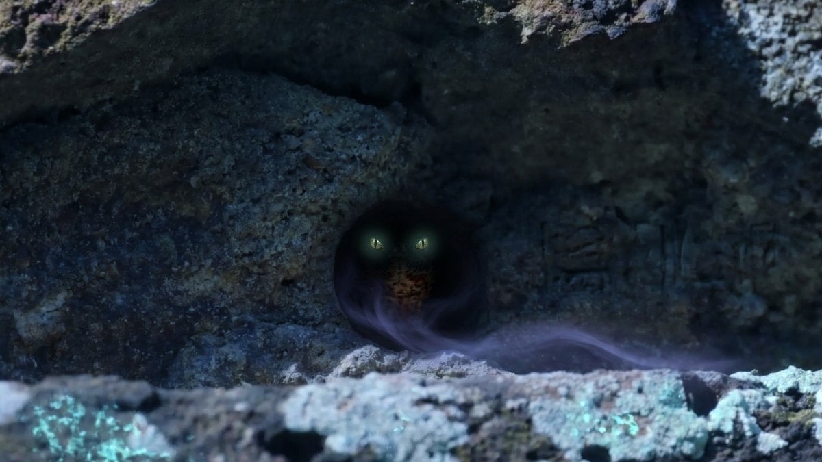 Dünyanın en nadir sürüngeni ortaya çıktı