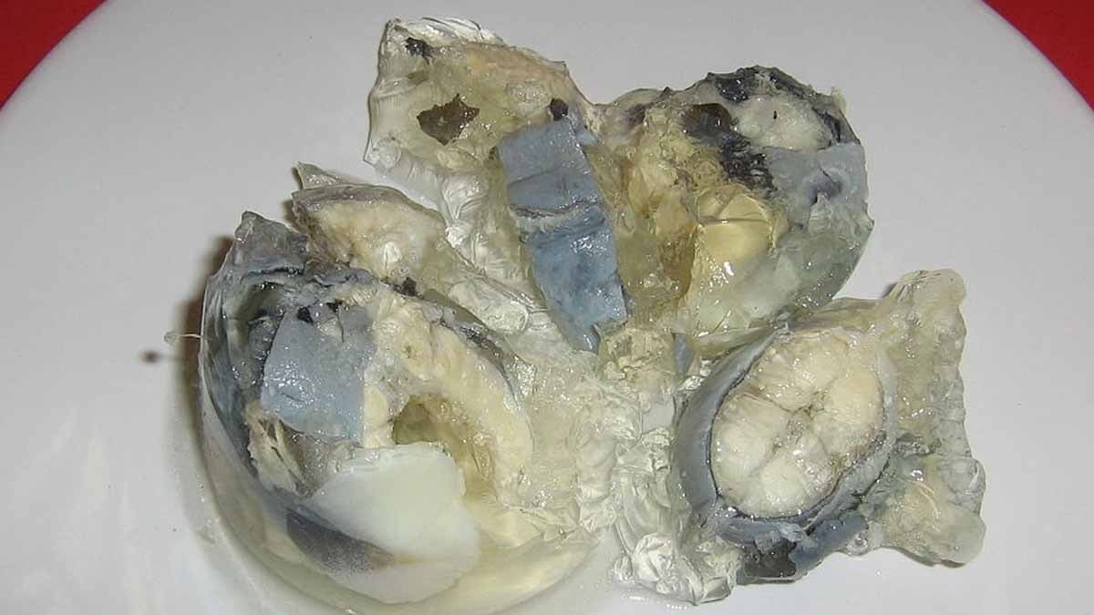 200 yıldır sofraların vazgeçilmezi dünyanın en kötü yemeği seçildi