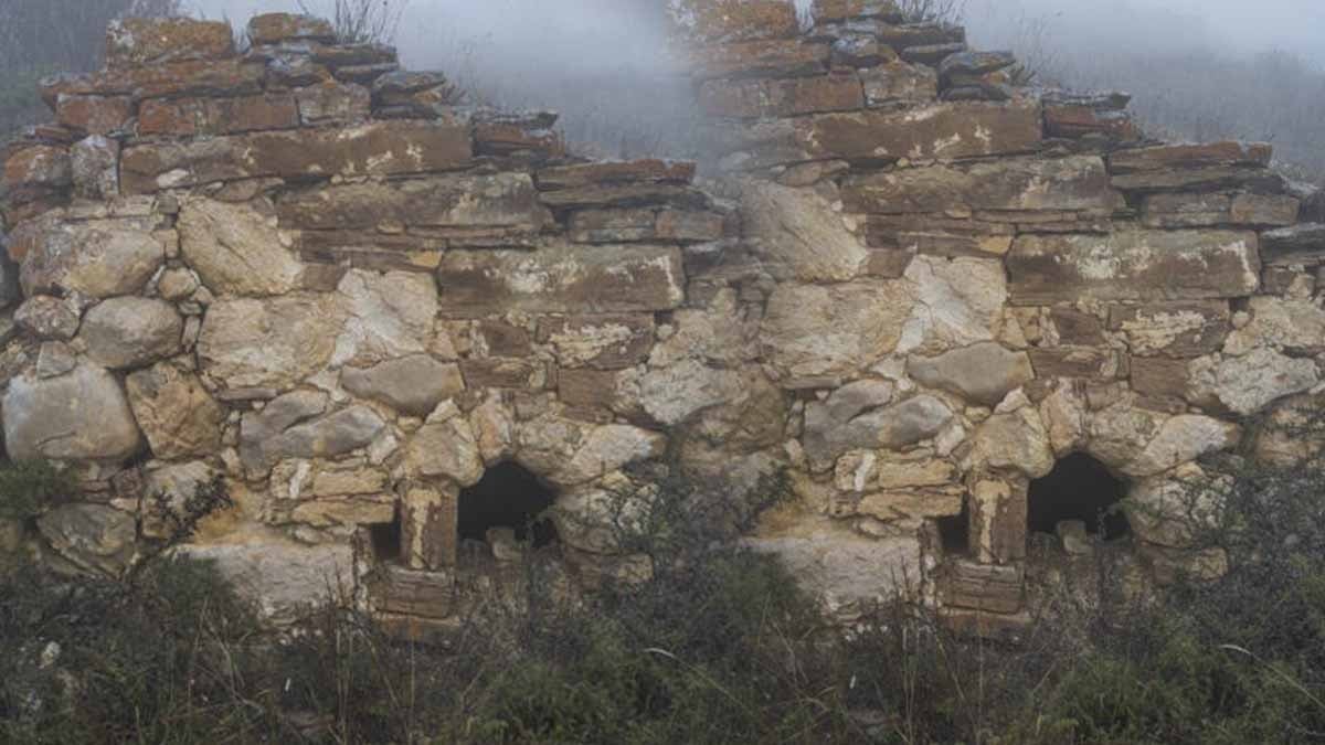 Tam 68 çocuk aynı sarnıçtan çıktı