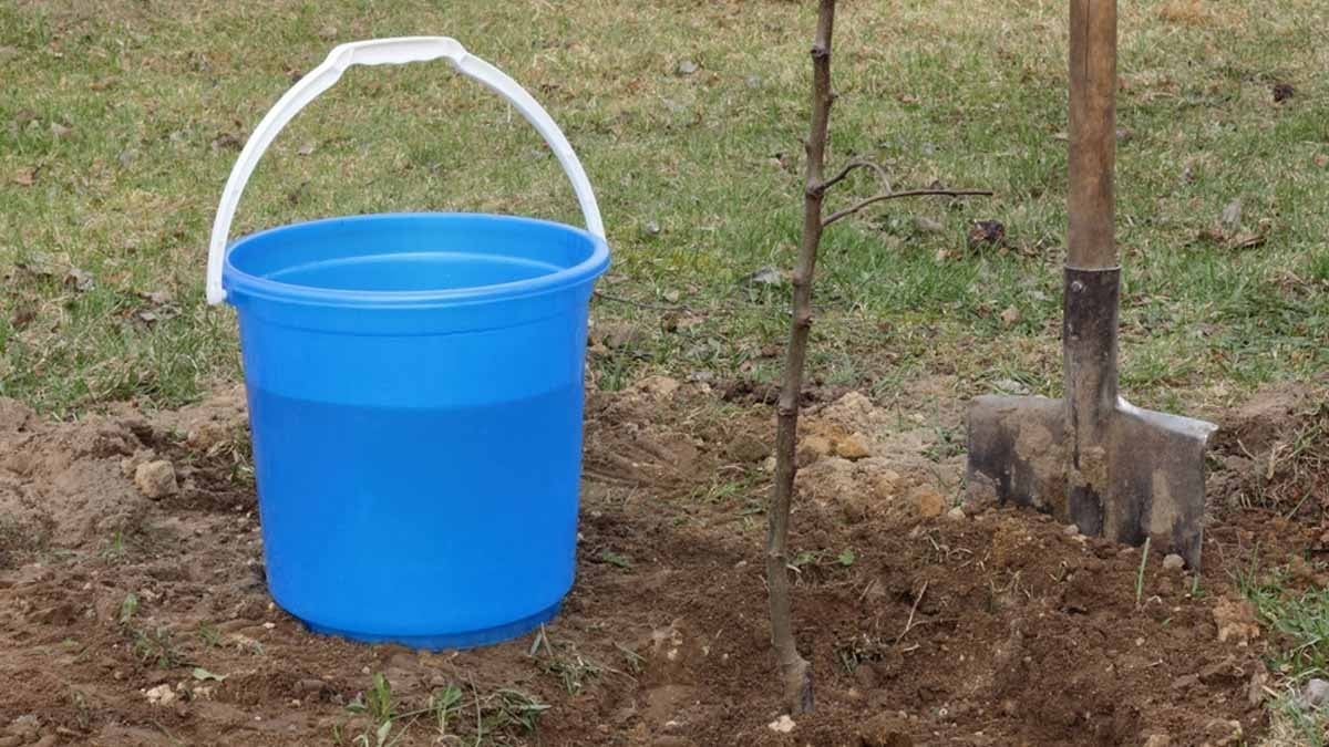 Bahçeye kova koyanın kapısına polis dayanıyor