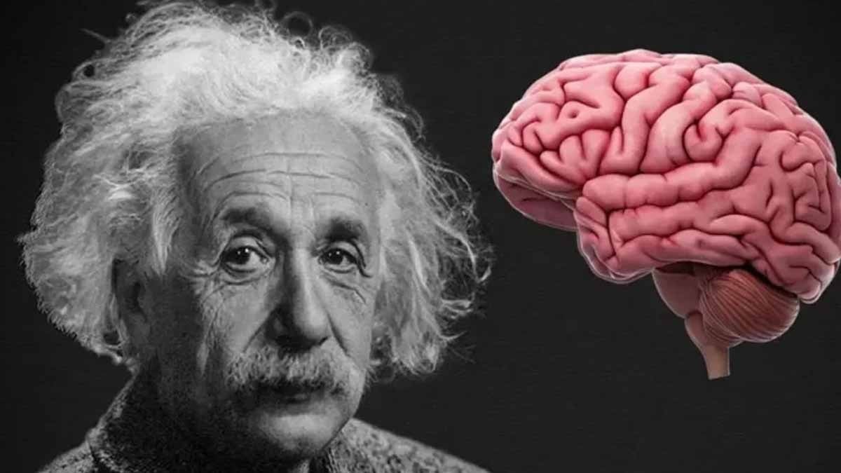 Psikologlar yüksek zekaya sahip insanları ele veren 'tek' özelliği açıkladı