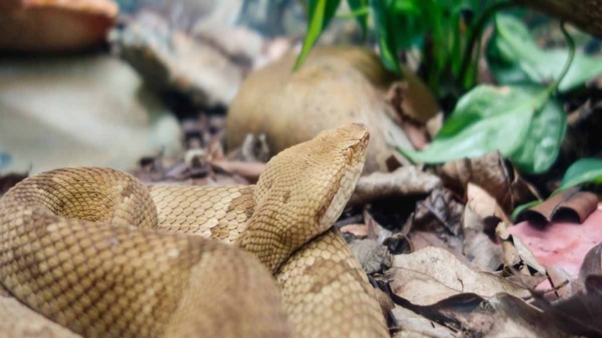 Ayda 500 bin TL kazanıyor ama yaptığı işi duyunca kaçacaksınız