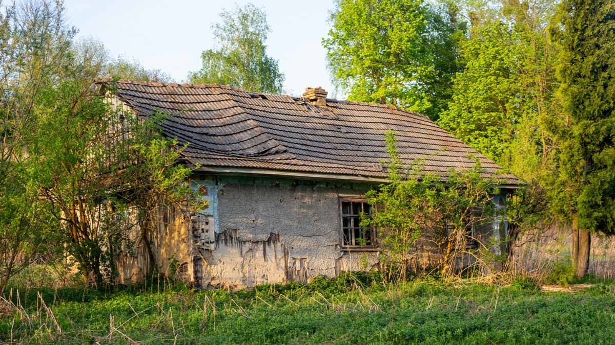 Güneş panelleri ve kuyu suyuyla yaşayan ailenin çocuklarına devlet el koydu 