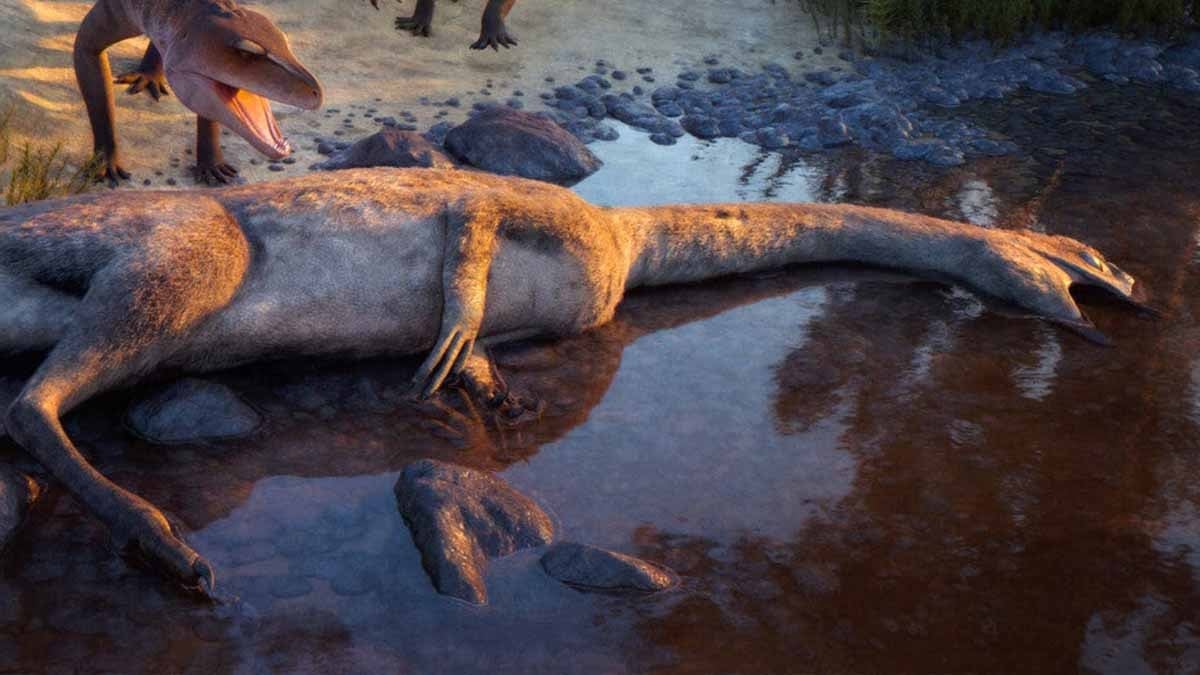 Tam 76 yıl bekledikten sonra tuhaf bir yaratık ortaya çıktı