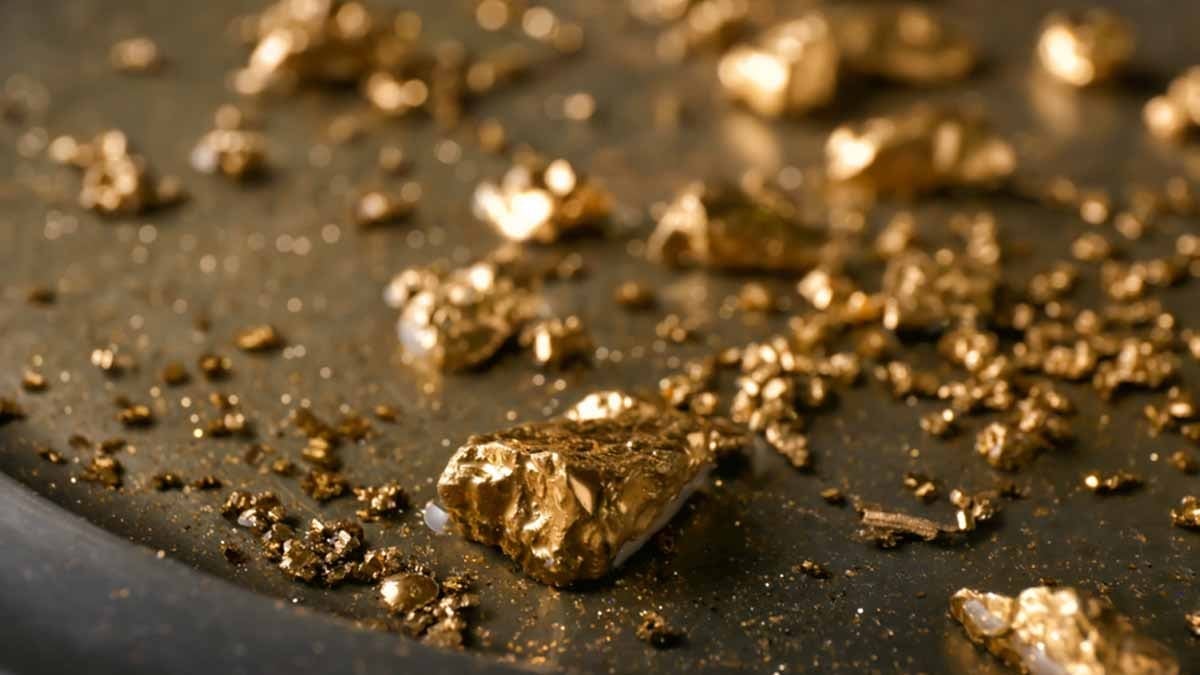 1400 liraya izin alıp altın aramaya gidiyorlar: Servetin ortasında polis ve yılanlar bekliyor