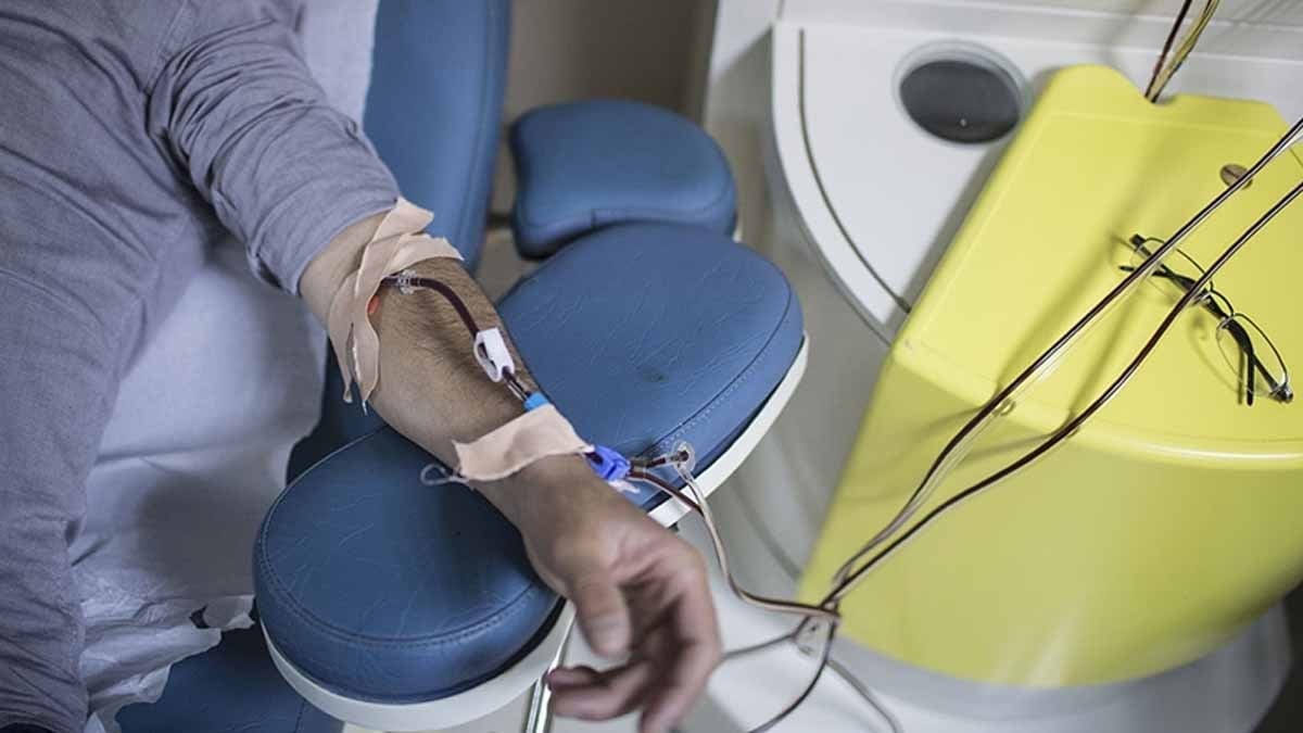 Japon doktor böbrekleri adım adım diyalize götüren 6 besini tek tek sıraladı