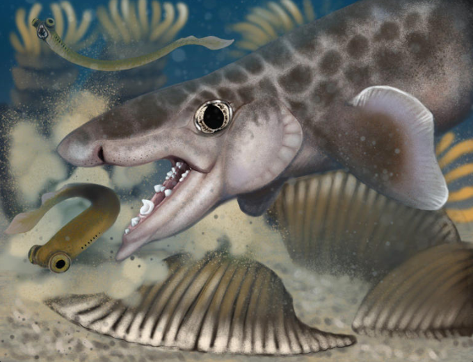 Bilim dünyası alarmda: Dünyanın en uzun mağarasında yeni bir canlı türü keşfedildi