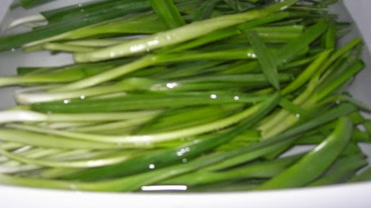 Köylüler tek tek elleriyle hasat ediyor: Şeflerin mucize gözdesi