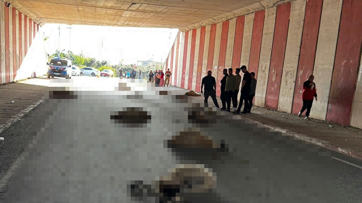 Otomobil koyun sürüsüne daldı, 18'i öldü