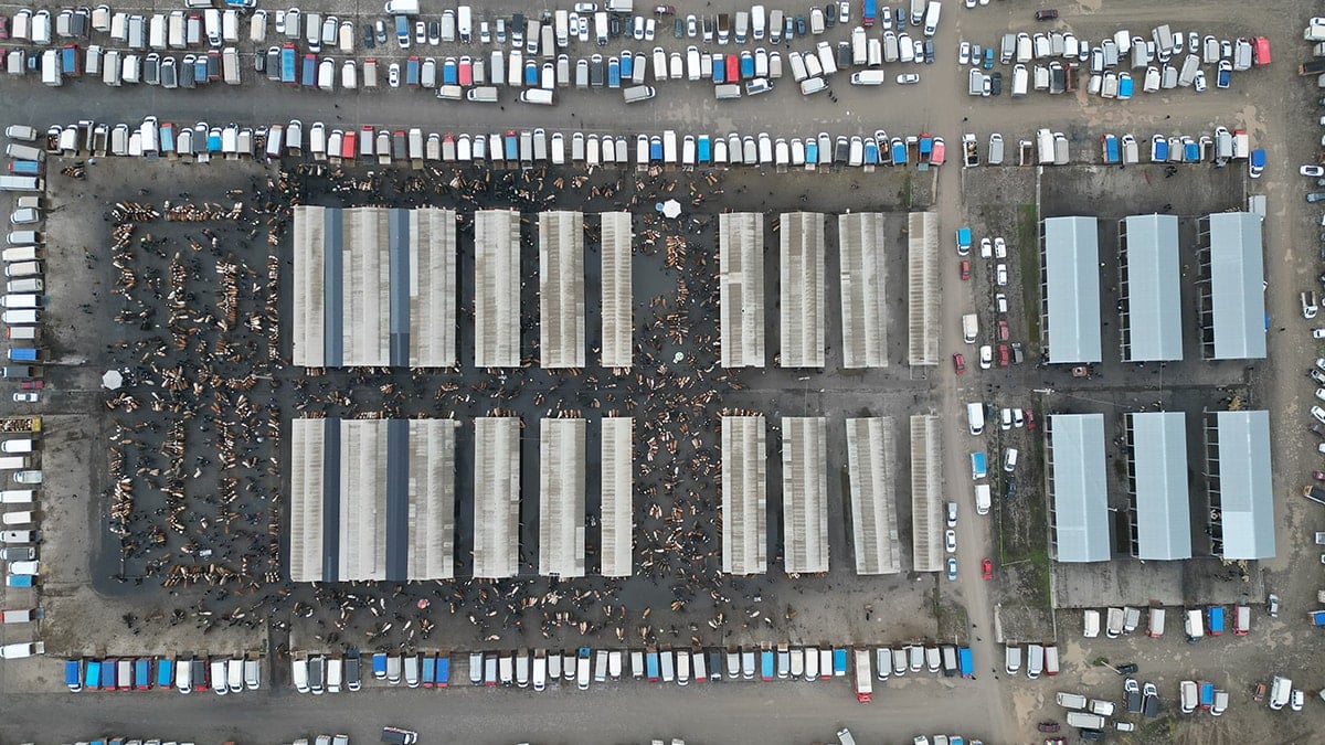 Kurban öncesi hayvan pazarında hareketlilik başladı