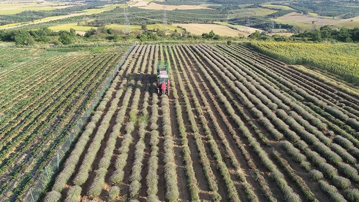 Tek bir damla su istemeden servet kazandırıyor