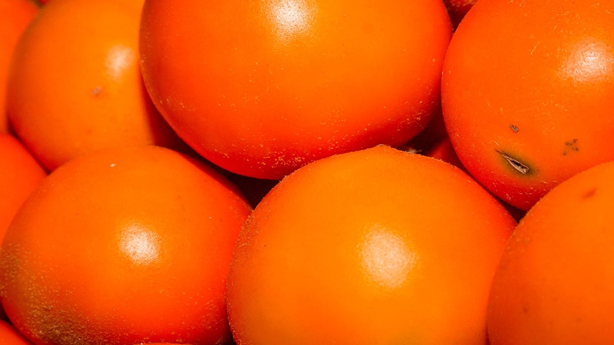 Bu meyvenin yurt dışına çıkarılması yasak 