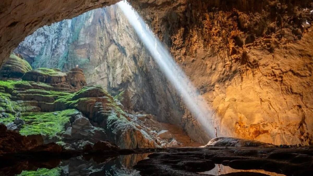 Tesadüfen dünyanın en büyüğünü buldu: Ormanın derinliklerinde kaybolup 17 yıl sonra yeniden bulundu