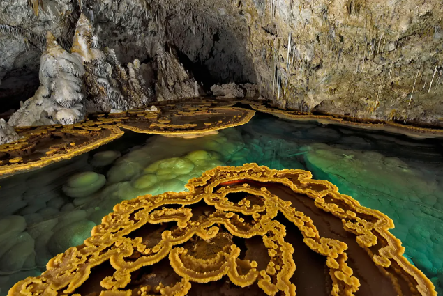 Mağaralarda saklanan 'süper böcek' gün yüzüne çıktı: Modern ilaçlara direnç gösteriyor