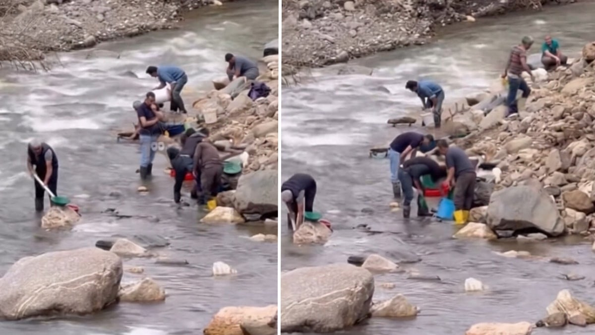 'Dereden altın çıkıyor' iddiası ortalığı karıştırdı! Eline kazma kürek alan akın etti