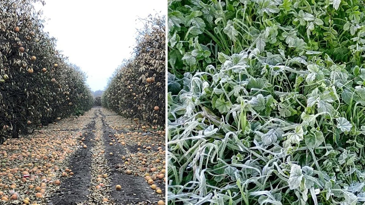 20 il için sarı kodlu uyarı! 11 Nisan'a kadar sürecek