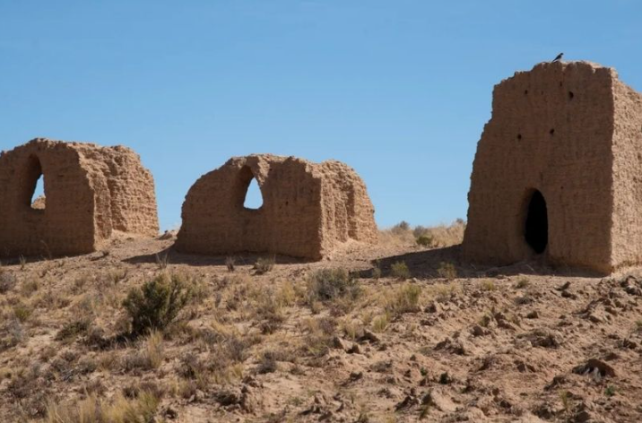 700 yıllık mezardan çıkan 'şey' insanlık tarihini yeniden yazacak