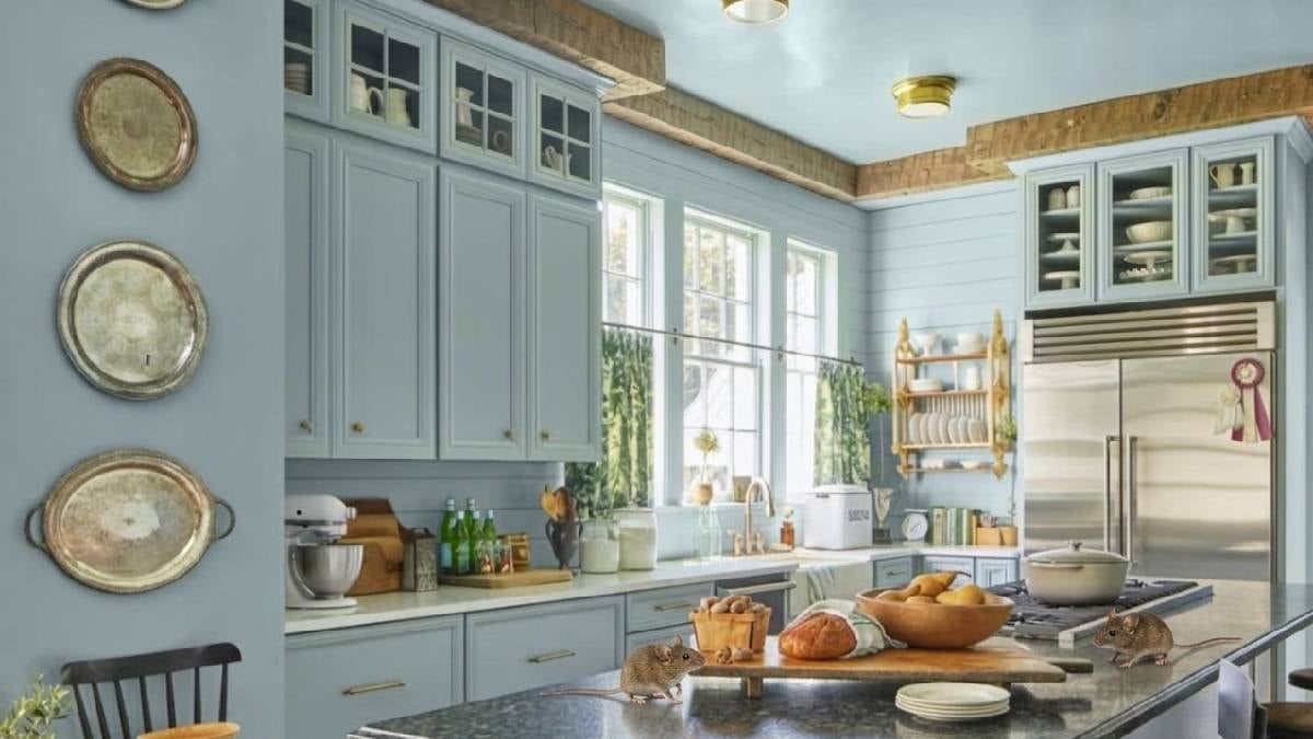 Fareleri sonsuza dek uzaklaştıracak basit mutfak malzemesi