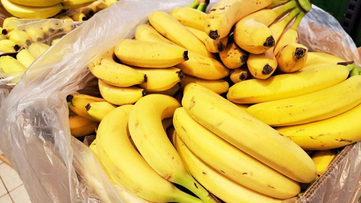 Tek bir sipariş hatasıyla 38.000 muz adada mahsur kaldı