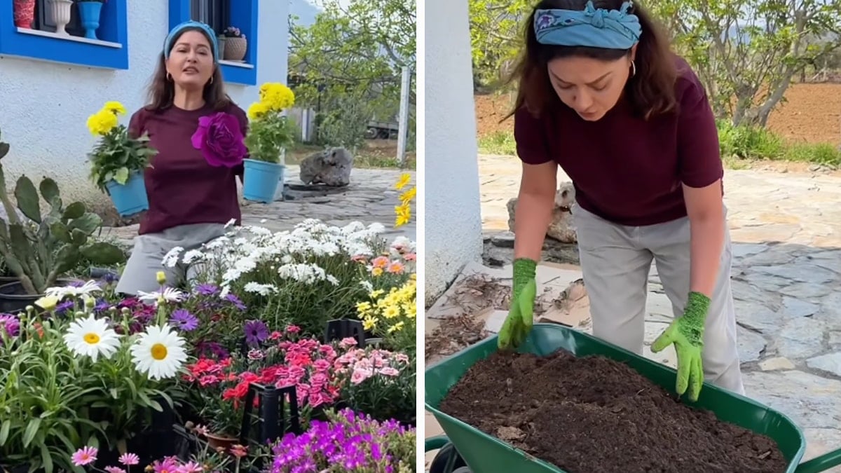 Kariyerinin zirvesindeyken köye yerleşti, toprakla uğraşıyor