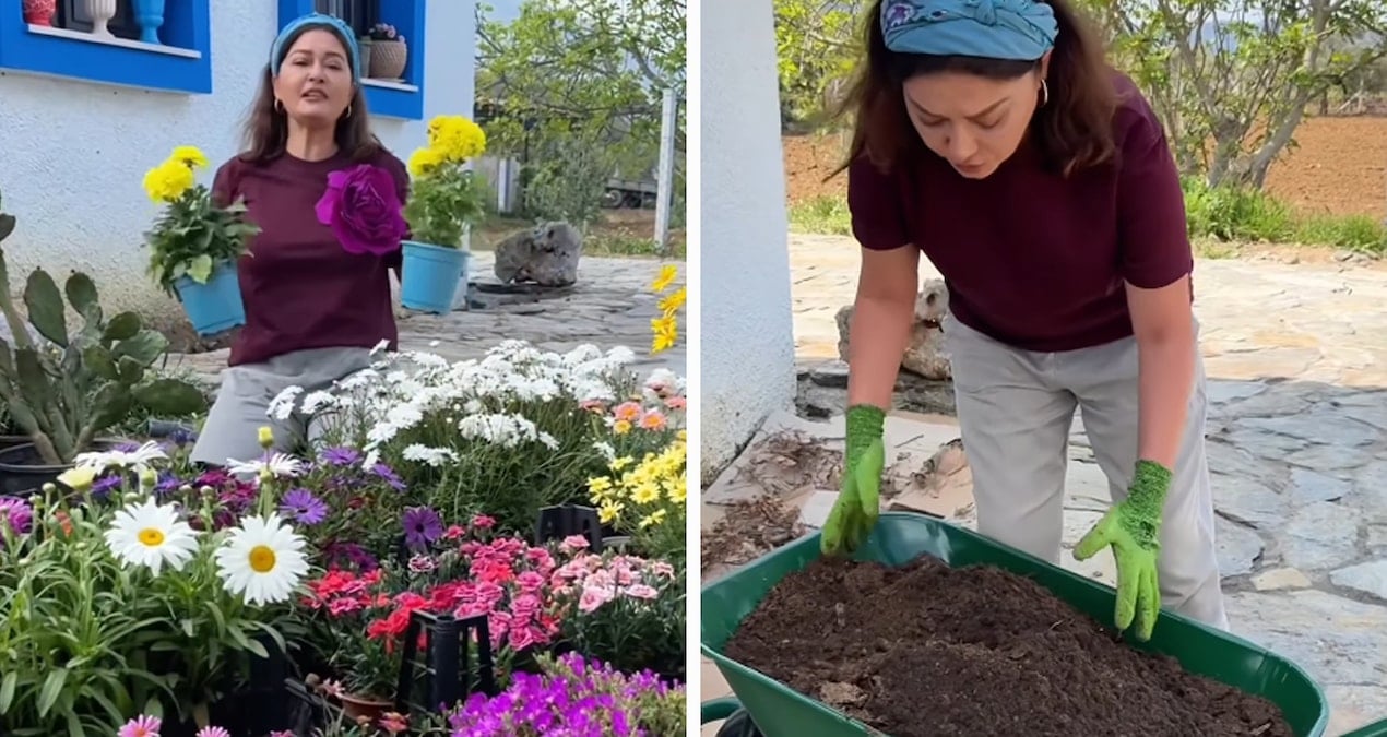 Şehri terk edip Ege’de köye yerleşen Nurgül Yeşilçay toprakla buluştu