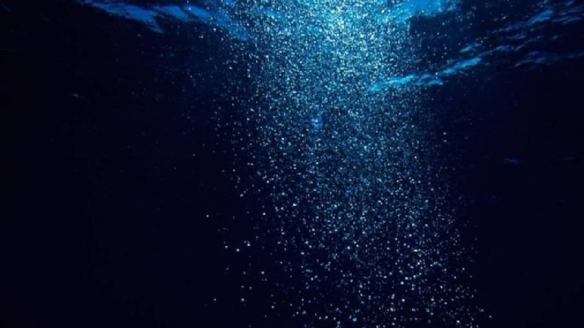 Hiçbir bilim insanının açıklayamadığı yaratıklar bulundu