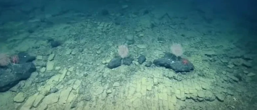 Okyanusun dibinde hiçbir insanın yapmadığı tuğla yol keşfettiler