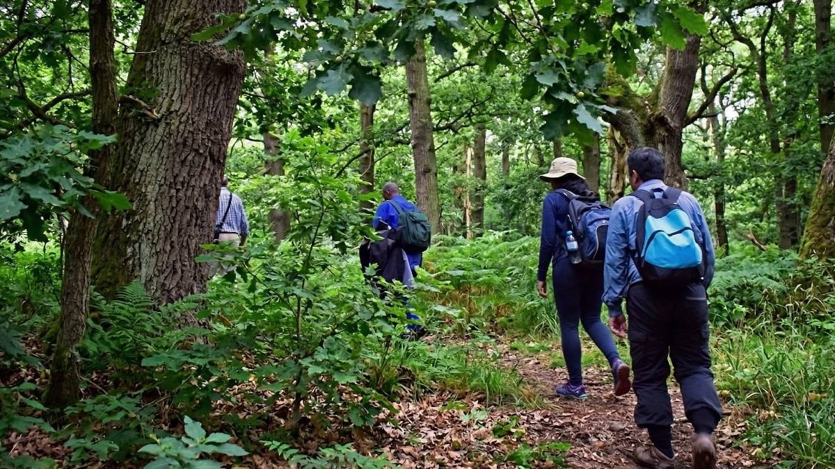 7 ülkenin hazinesini turisitler buldu: Devasa serveti ormanda saklamışlar