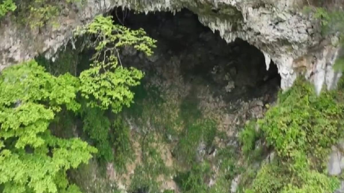 Yerin 200 metre altında dev bir orman bulundu