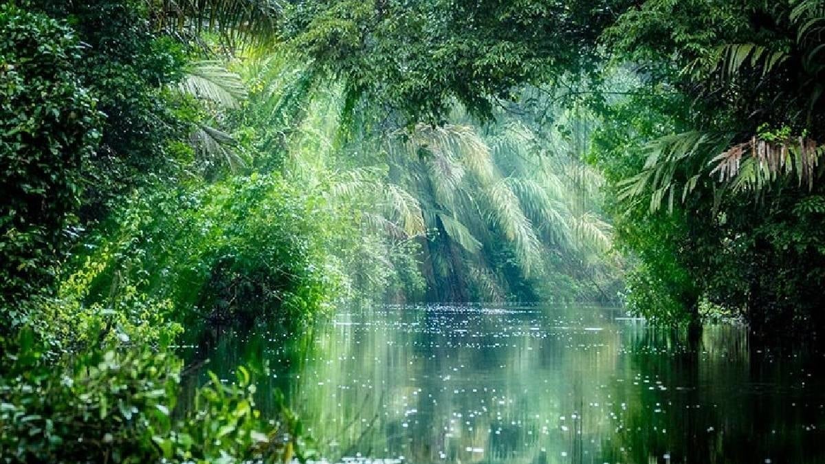 Dünyanın en yaşlı canlısı: Tam 194 yaşında