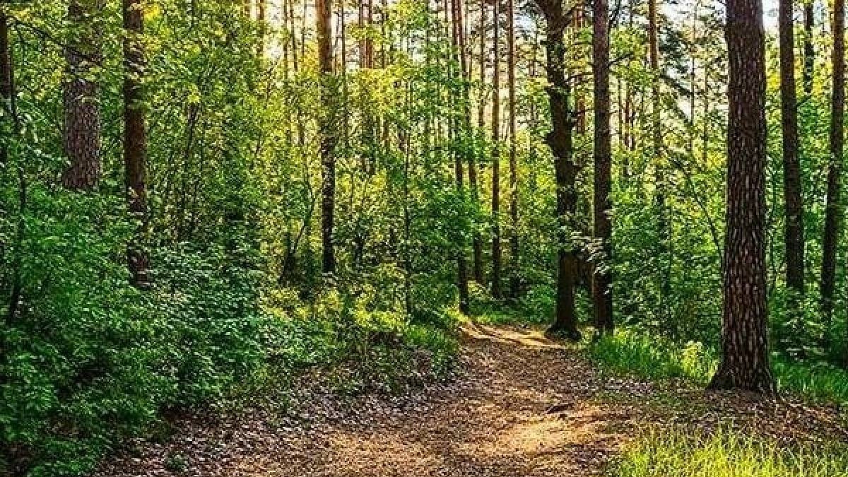 10 yılda tarihe karışan şehir: 2 bin yıl sonra keşfedildi