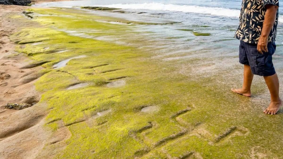 Yıllardır kumların altında gizli kalmıştı: 1000 yıllık sır perdesi aralandı
