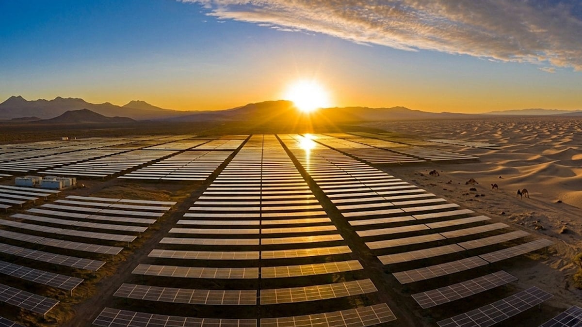 Çölün ortasına koydukları dev güneş panelleri çölü 'istila' etti