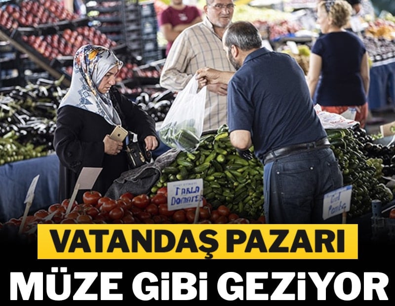 Vatandaş pazarı  müze gibi geziyor