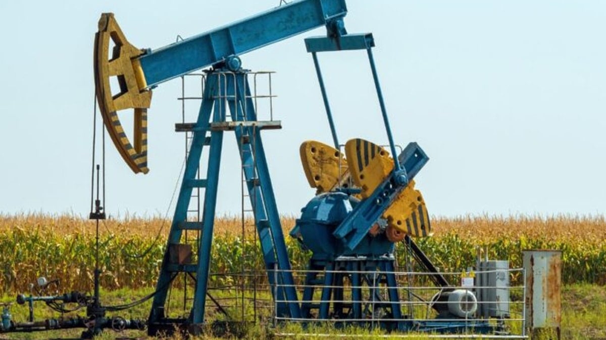 Herkesin 'bitti' diye terk ettiği kuyudan servet çıktı: 'Çok para kazanıyoruz'