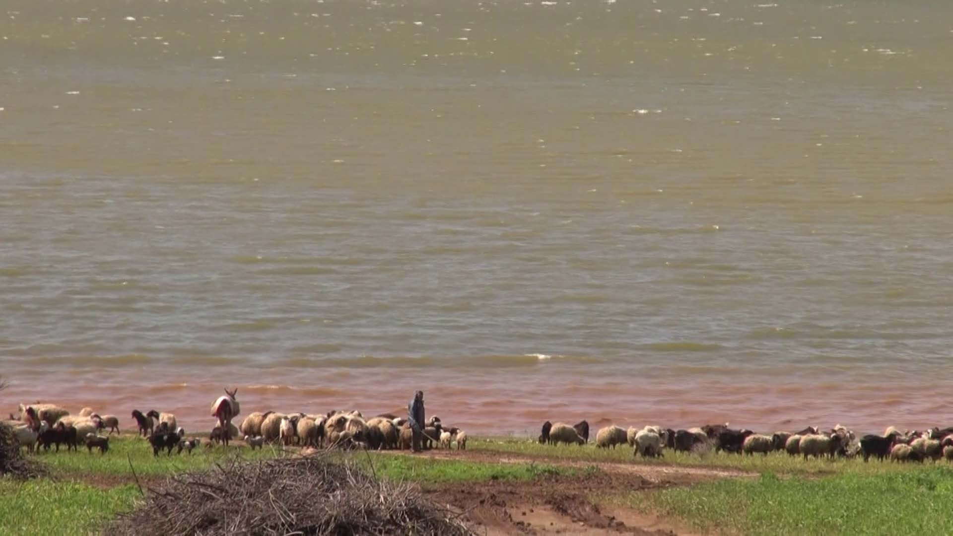 Reyhanlı Barajı'nda beş yıl sonra bir ilk!