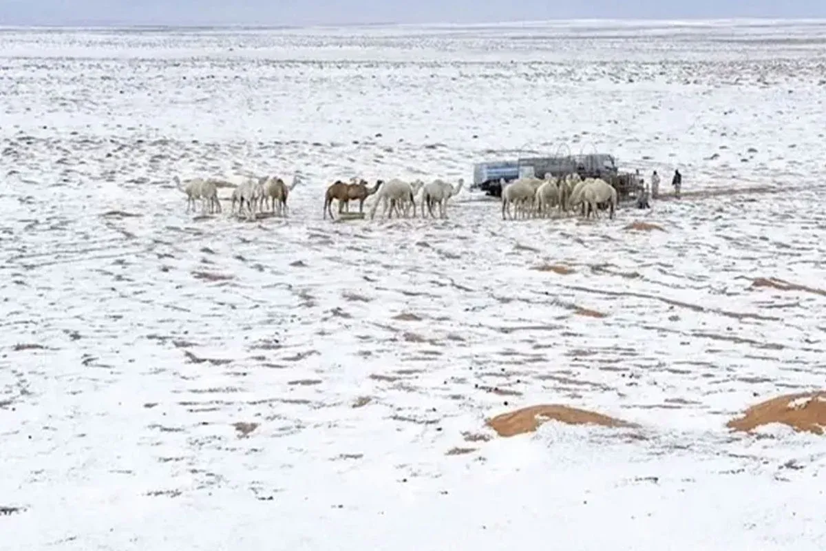 'Dünyanın dengesi şaştı' dedirten fotoğraf...