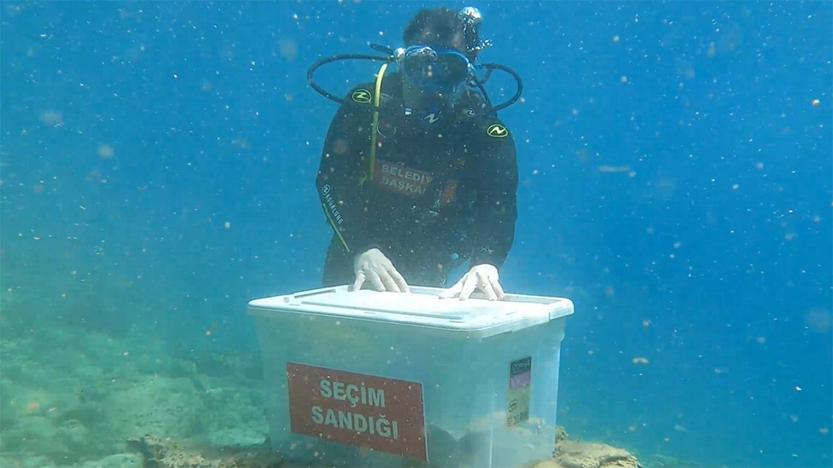 Ege denizinin derinliklerinden demokrasi ve hukuk çağrısı