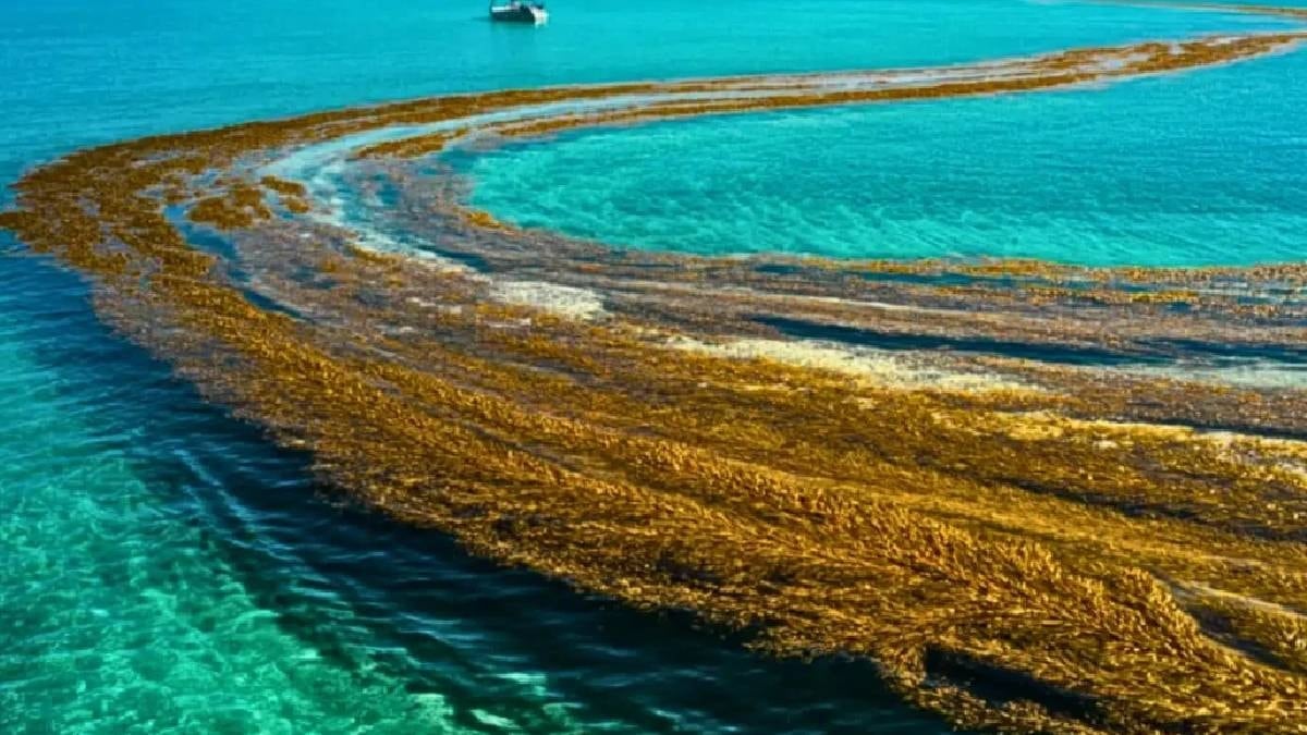 Dünyada kıyısı olmayan deniz hızla değişiyor