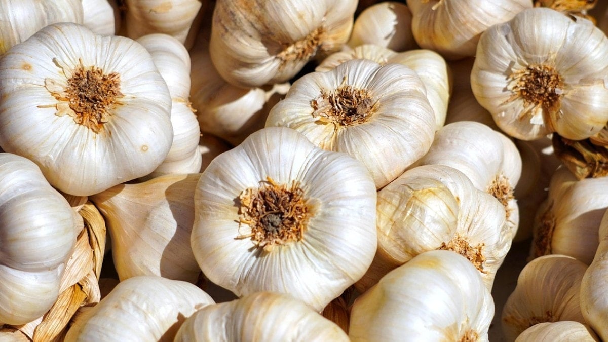 Dünyanın en iyi 17 sarımsağı belli oldu: Türkiye'den 2 çeşit listede