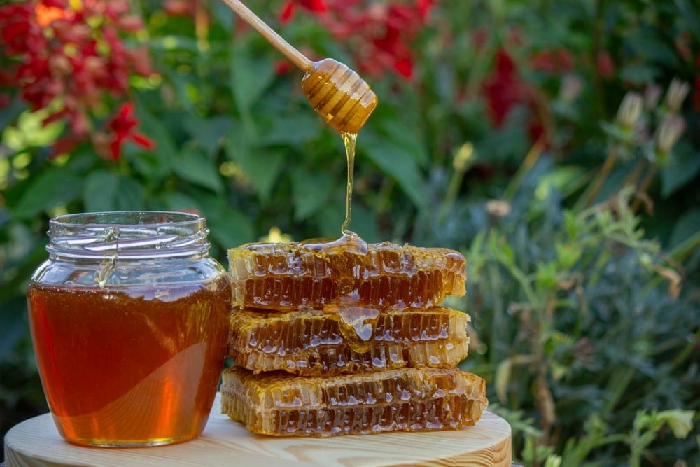 Türkiye'nin balı dünyanın ağzını tatlandırıyor: 31 ülke sipariş için kuyruğa girdi