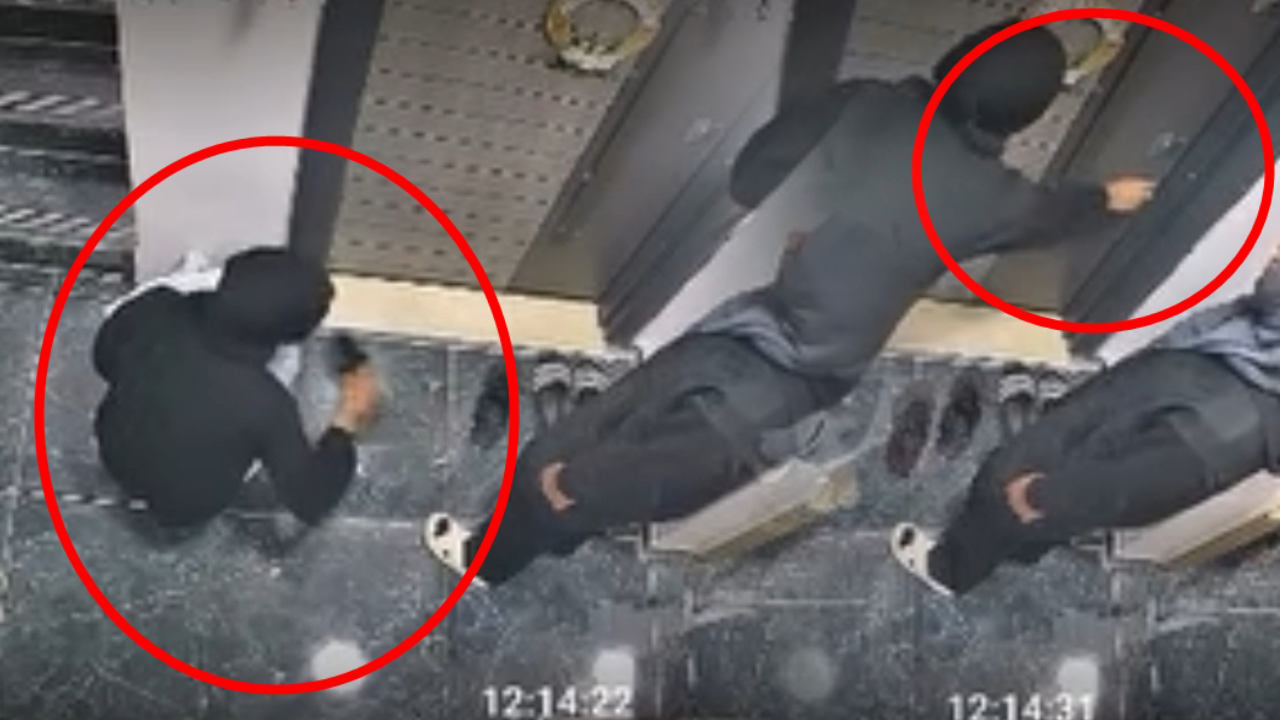 Önce ayakkabıyı kokladı, sonra kapıyı açmaya çalıştı