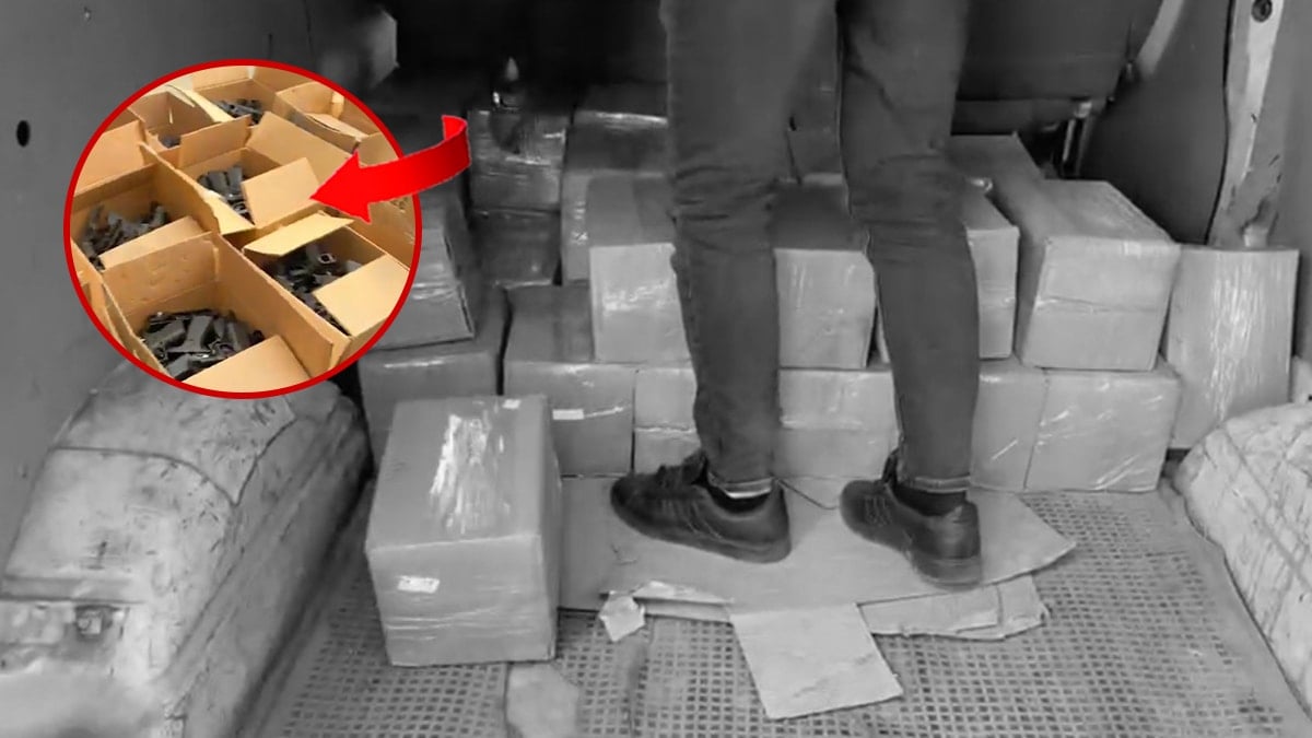 İstanbul'da binlercesi kutudan çıktı! Şoke eden görüntü...