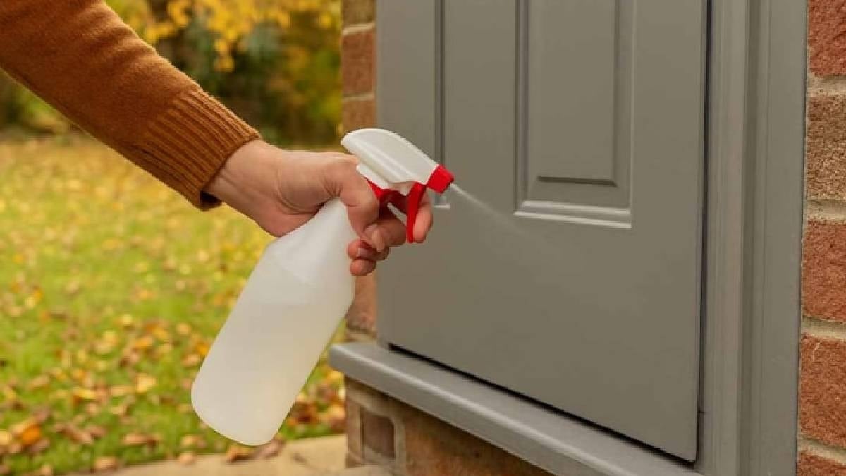 Mayıs ayına kadar kapı girişlerine sirke sıkın uyarısı yapıldı